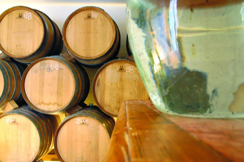 Готель Weingut Martinshof Sankt Ulrich  Екстер'єр фото