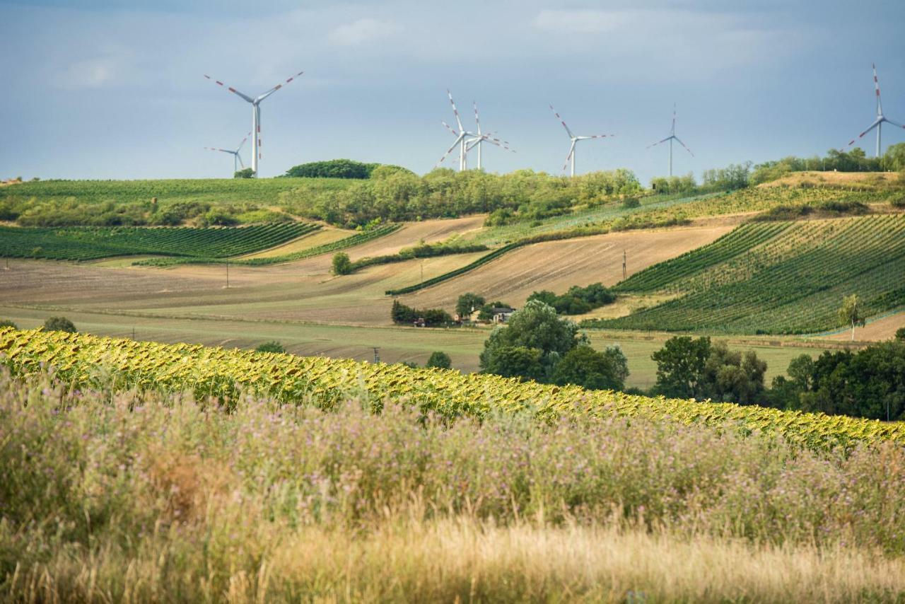 Готель Weingut Martinshof Sankt Ulrich  Екстер'єр фото